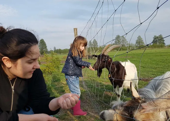 Gospodarstwo Na łęgach Gospodarstwo agroturystyczne